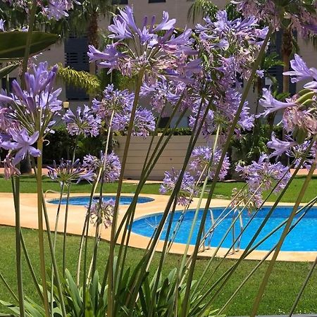 Apartment De Jardines Denia Exterior photo